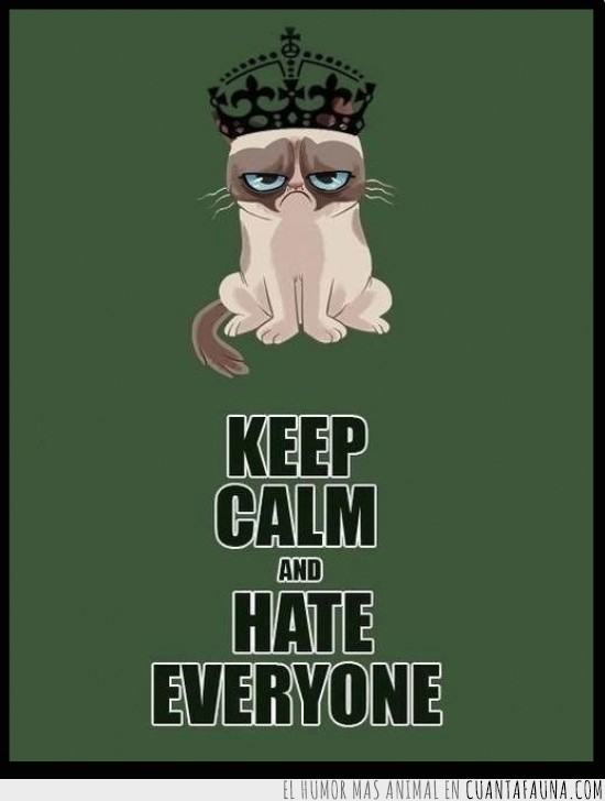 gato gruñon,hate everyone,dibujo,cartoon,grumpy cat,keep calm