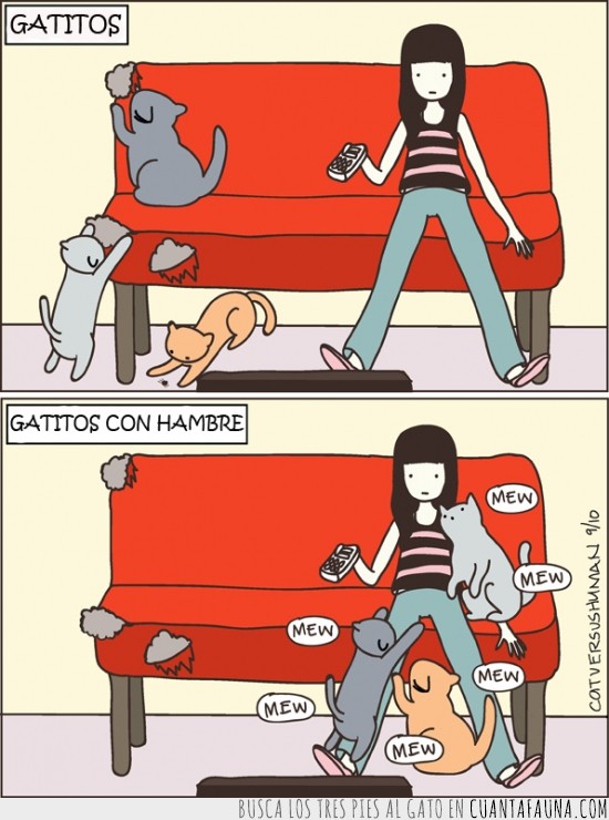 gatos en el sofa,gatitos con hambre,catversushuman,gatos,humana con gatos