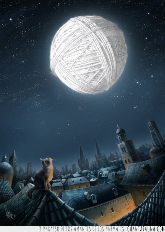 3979 - El gato en la luna