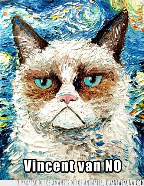 gato gruñon,cuadro,pintura,vincent van gogh,grumpy cat,vincent van no