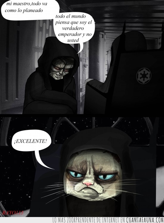 grumpy cat,gato gruñon,star wars,emperador