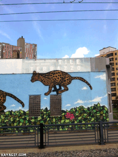 felino,gineta,graffitti,leopardo,movimiento