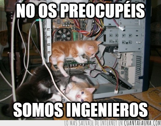 gatitos,cachorros,ordenador,torre,ingenieros