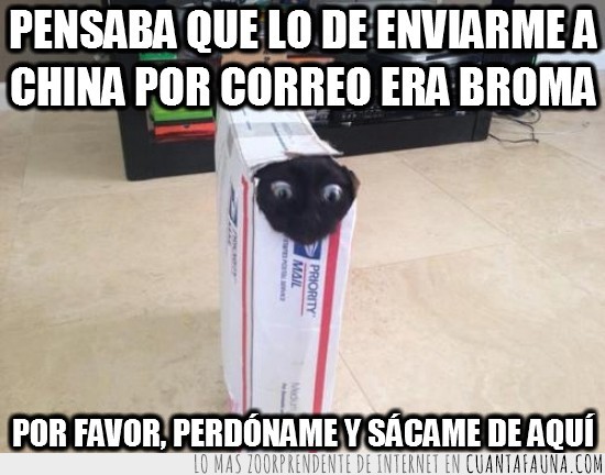 caja,correos,enviar,ojos,cara,susto,estrecho