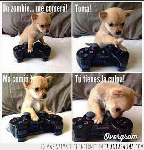 matar,zombie,Perro,videojuego,mando,perrito