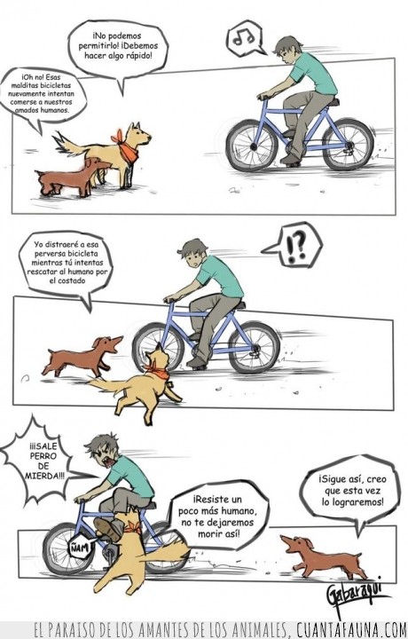 ayuda,salvar,perro,humano,bicicleta