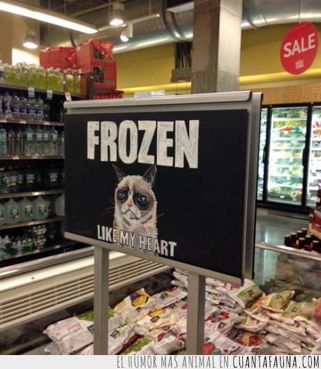grumpy cat,anuncio,congelados,gato,mal humor