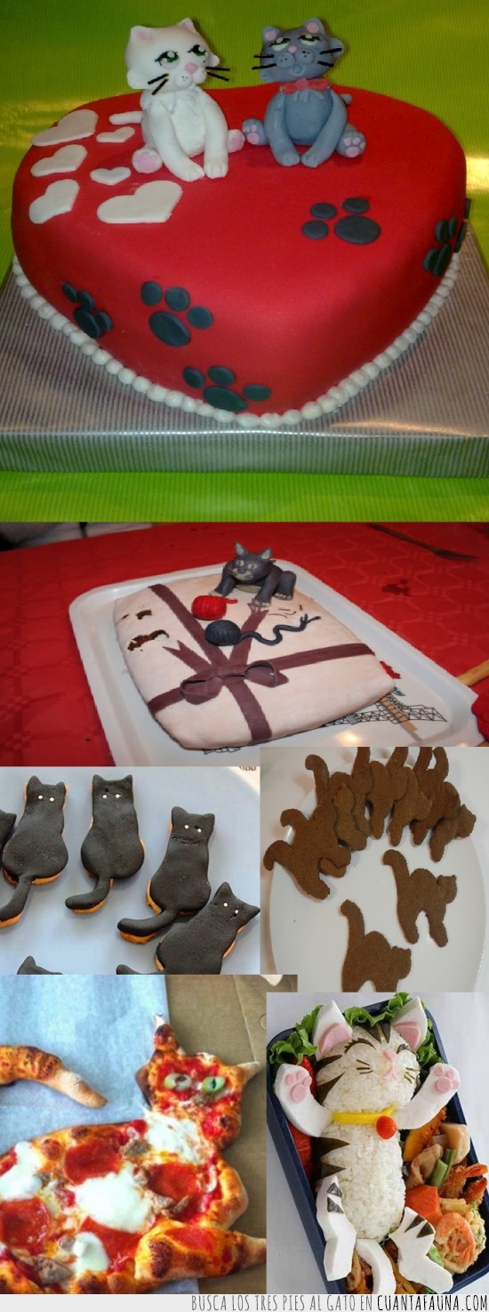 forma de gato,comida,galletas,pastel,tarta,gato
