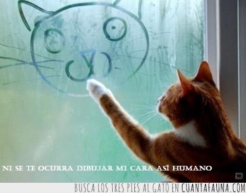 gato,humano,cristal,empañado,dibujar,dibujo,ventana