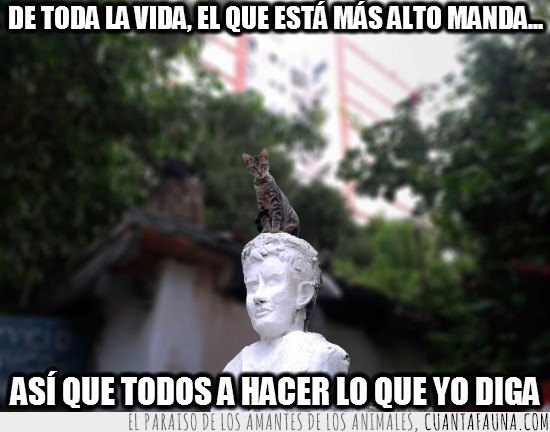 Paraguay,Asunción,estatua,rey,busto
