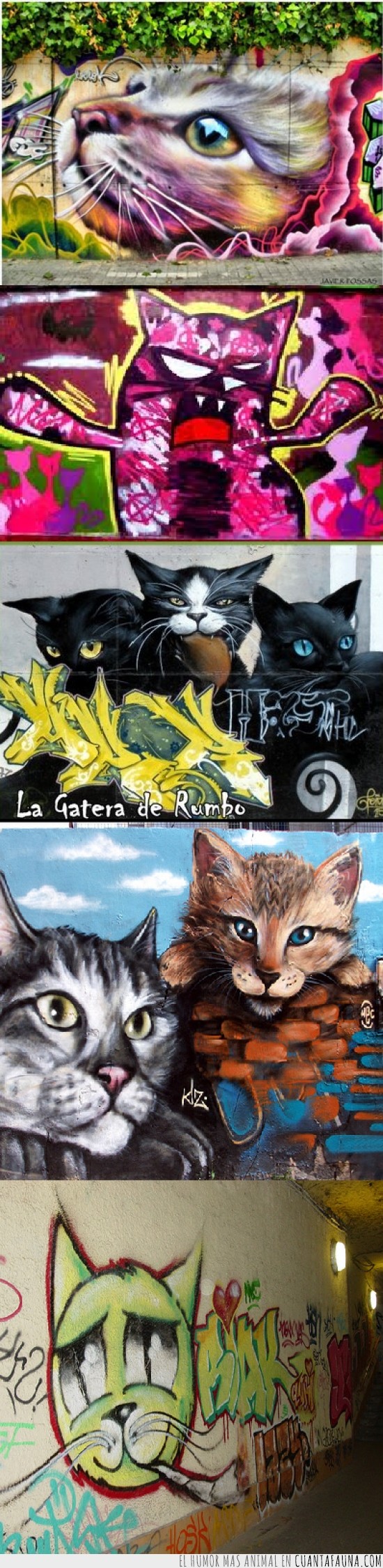 graffitis,gatos,mola,pintadas,grafiteros