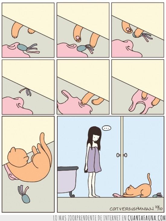 Gato,ducha,siempre,pata,por debajo,puerta,comic