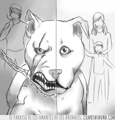 14920 - RAZAS PELIGROSAS - No existen perros agresivos, sólo mala educación por parte del dueño