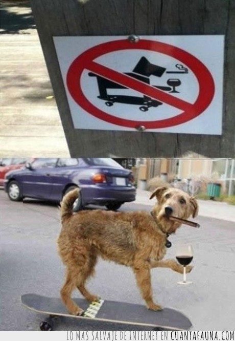 perro,prohibicion,fumador,prohibido