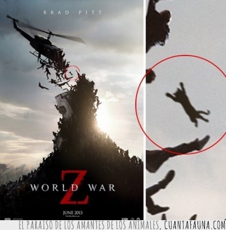 world war z,gato,zombie,volar,helicoptero