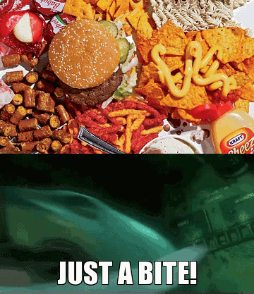comer,dieta,amigo,tiburón,comida basura,hamburguesas,nachos,quesitos