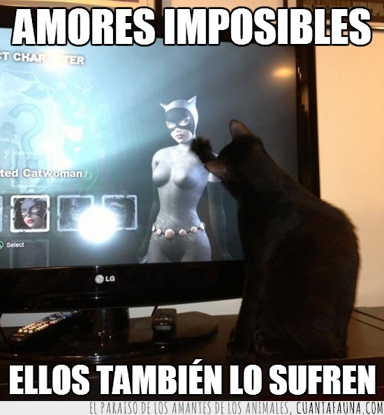 amor imposible,amor,pantalla,television,videojuego,catwoman