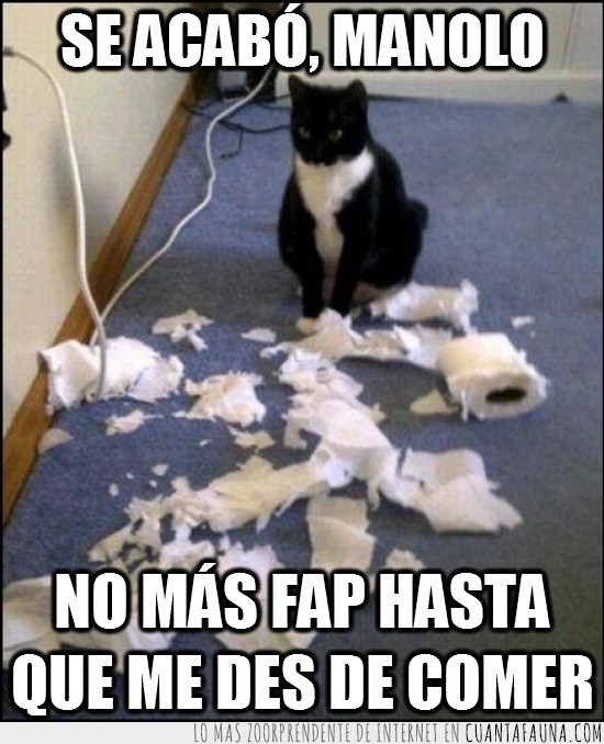Gato,papel higiénico,Putada
