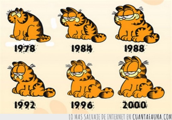 gato,Garfield,gato famoso,cambio,curoiso