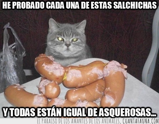Salchichas,Gato,Chorizo,Mierda,Comida,Comer