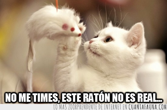 Gato,Ratón,Falso,Fake,Juguete