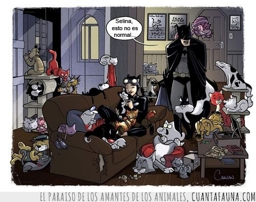 batman,catwoman,gatos,casa,selina,gatos famosos,comic
