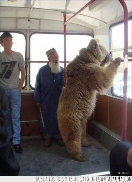 16217 - MIENTRAS - En la L5 de un autobús cualquiera en Rusia