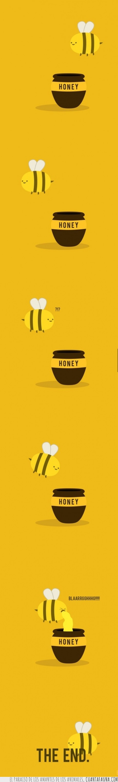 miel,abeja,hacer,vomitar