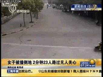 accidente,derribar,atropello,china,motos,perro