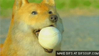 japonés,anuncio,falso,perro,jugar,tirar,pelota,niño