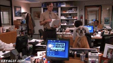 jefe,oficina,perro,trabajo,hijo de perra,literal,the office
