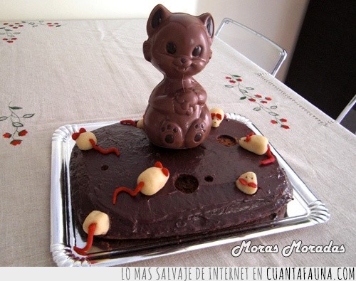gato,pastel,cumpleaños,ratitas,pasteleria