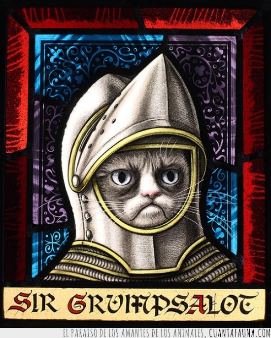 caballero medieval,grumpy cat,grumpsalot,gato gruñon