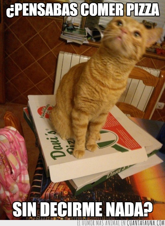 pizza,caja,encima,avisar