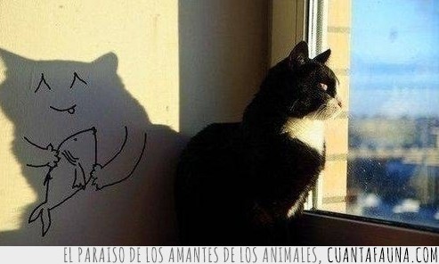 gato,sombra,dibujo,raro,pintado,pared