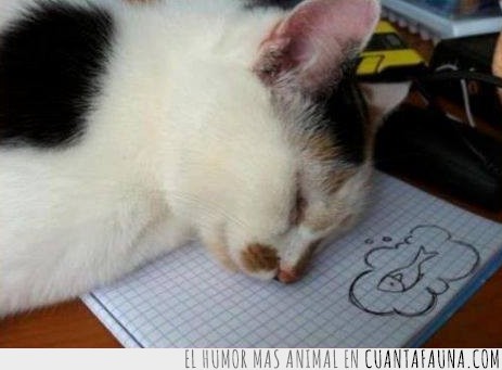 pez,dormir,gato,dibujar