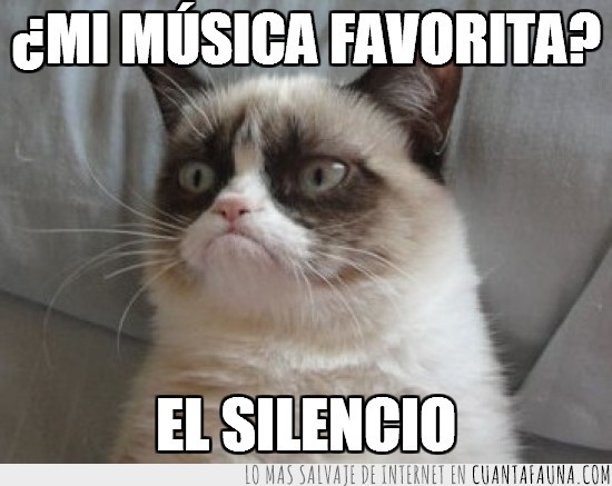 Gato,Grumpy cat,silencio,música