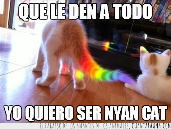 gato,nyan cat,cola de arco iris,efecto óptico
