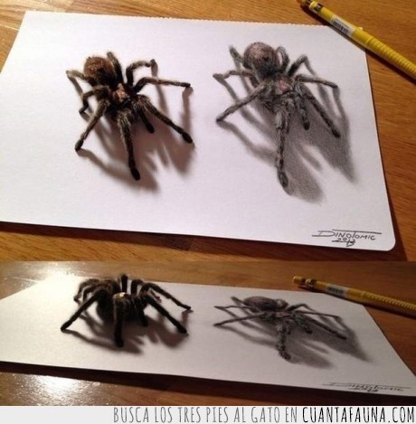 arte,tarantulas,lapiz,sombra,araña