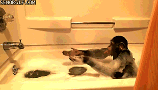 baño,espuma,disfrutar,chimpance,lengua,agua,bañera