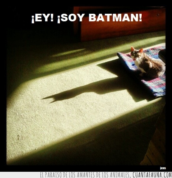 batman,sombra,soy batman