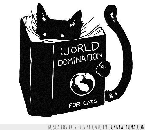 perfecto,libro,dominar el mundo,gato