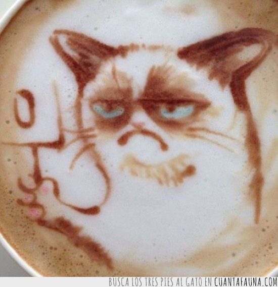 Grumpy cat,cero,café,dibujo