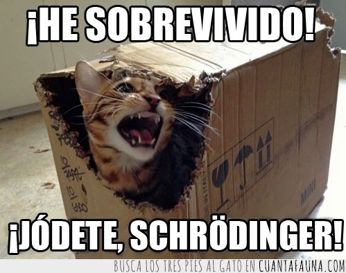 sobrevivir,física,cuántica,Schrödinger,gato,caja,paradoja resuelta