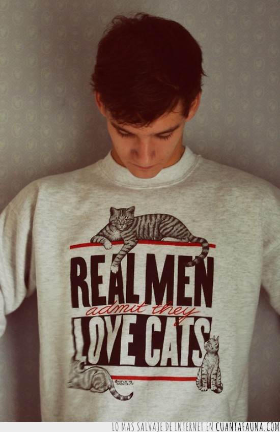 gato,camiseta,admitir,chulísima,real men,admit love cats