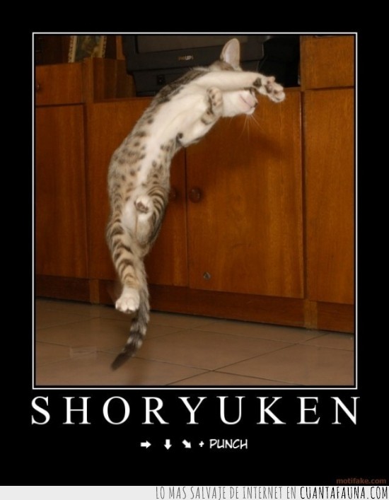 gato,ataque,ryu,ken,shoryuken,Movimiento,Street Fighter
