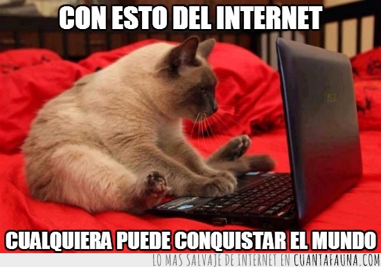 gato,ordenador,internet,conquistar,mundo