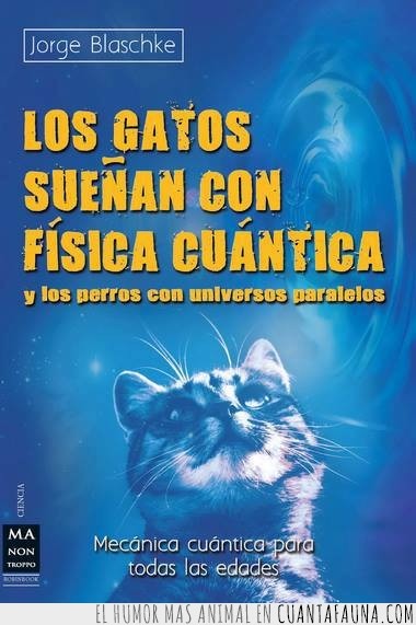 los gatos sueñan con fisica cuantica,libro,lectura,jorge blaschke