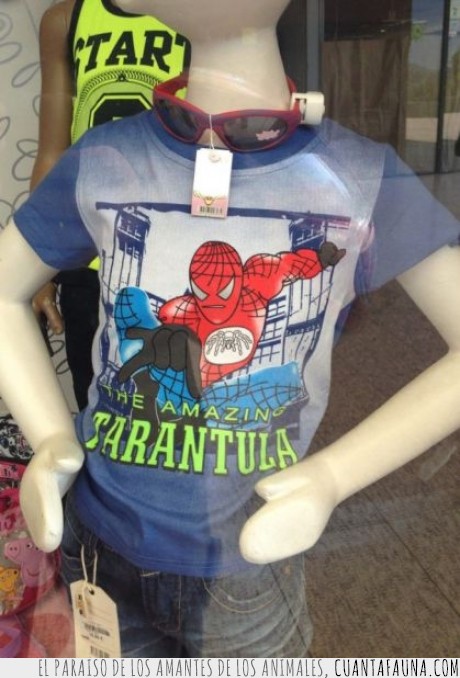 evolucion de la buena,falsa,camiseta,tarantula,spiderman