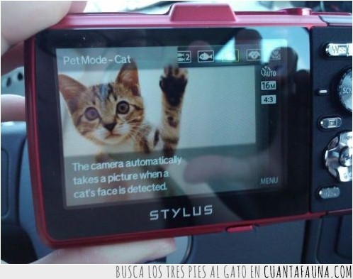 pet mode - cat,detectar,modo,cámara,gato,stylus